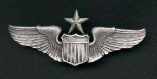 US Air Force Senior Pilot Wings 1/2 size or mini USA Made Genuine