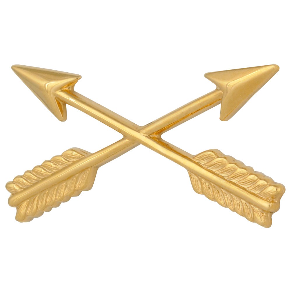 Army Special Forces Officer Insignia Pair