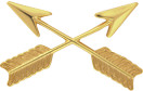 Army Special Forces Officer Insignia Pair