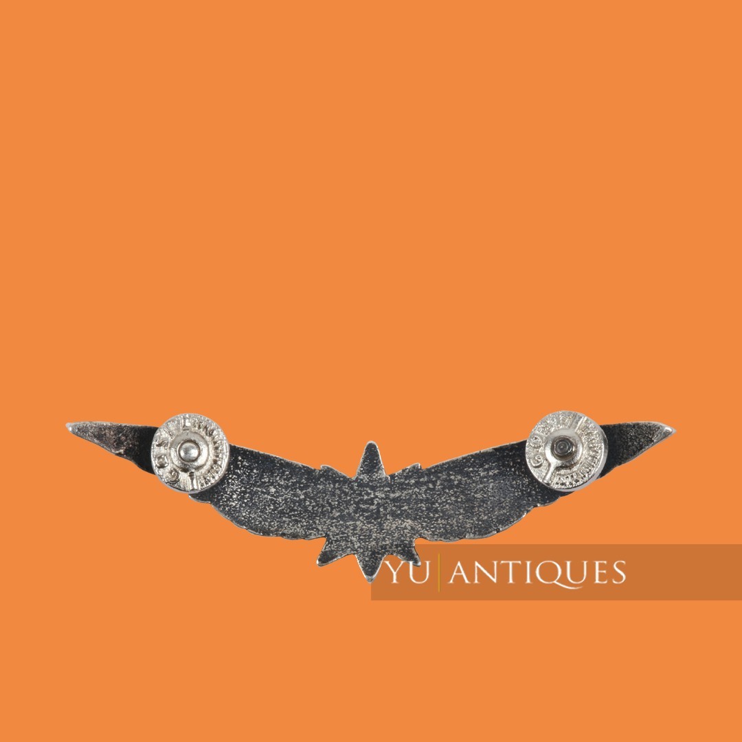 Serbia Army Air Force RV & PVO Pilot Wings Breast Chest Badge