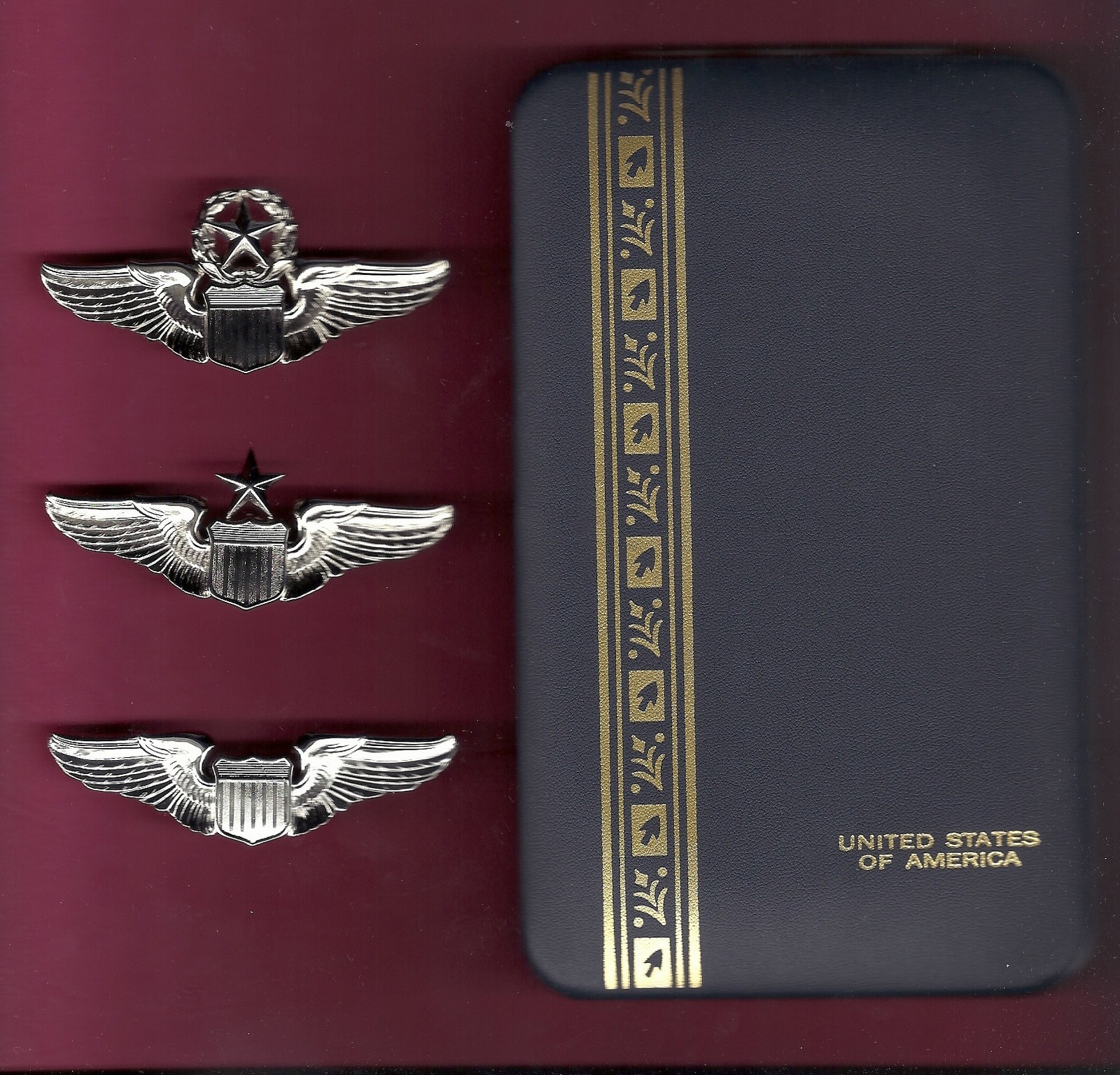 Set of US Air Force Pilot Wings Badges USAF Mirror in case