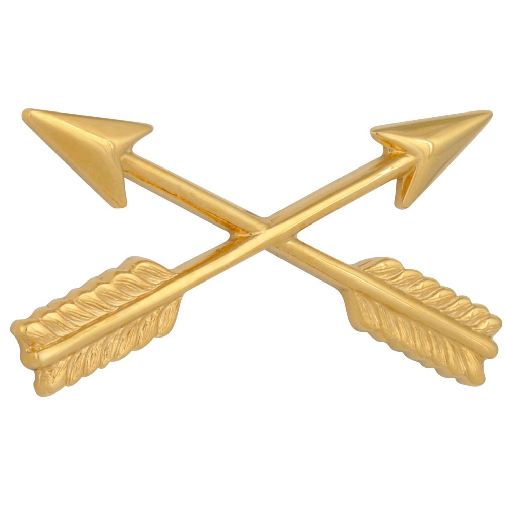 Army Special Forces Officer Insignia Pair