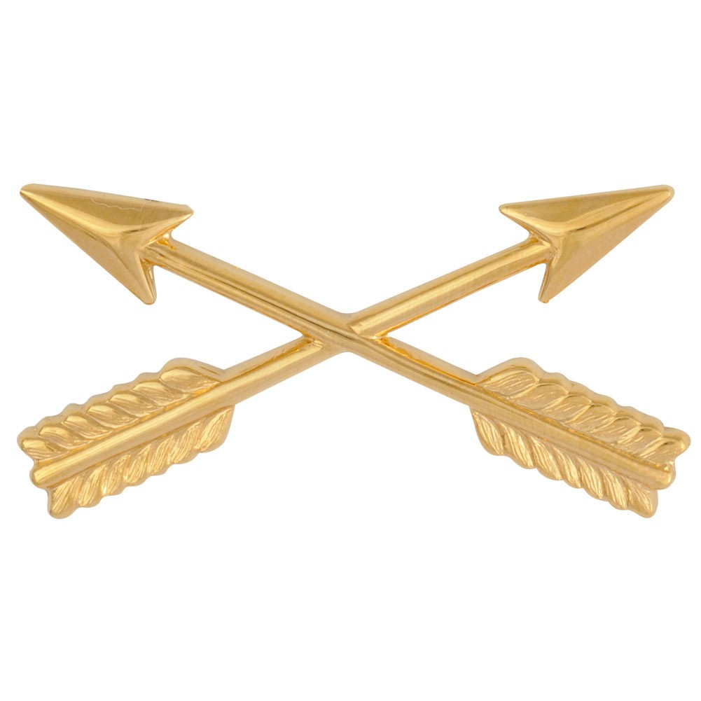 Army Special Forces Officer Insignia Pair